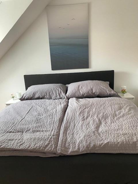 Paky Appartements 00316 Bruck-Leitha Dış mekan fotoğraf